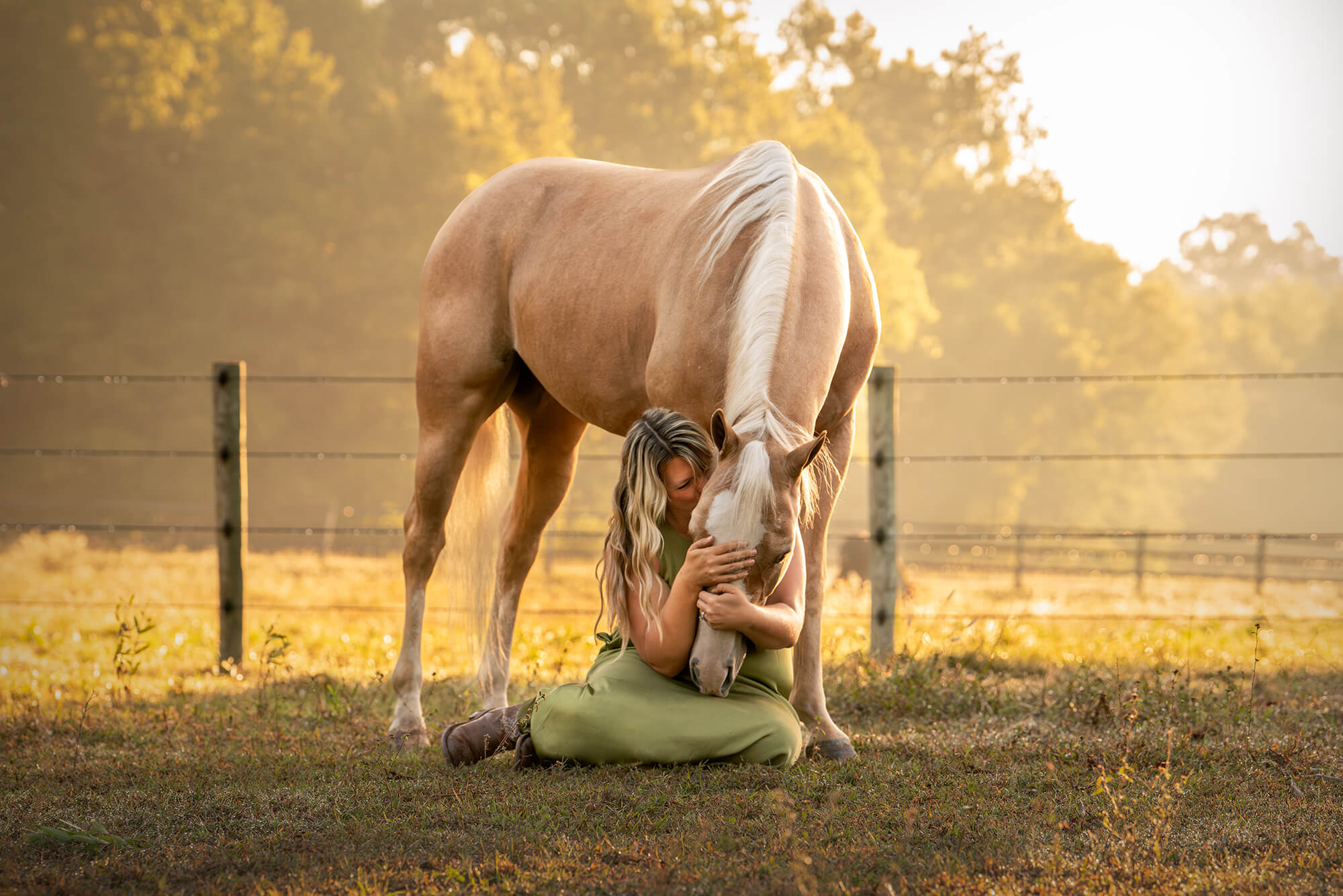 Blonde equestrian sitting down in a green dress in a field. She is nuzzling her Palomino Quarter Horse's head as he bends down to her lap