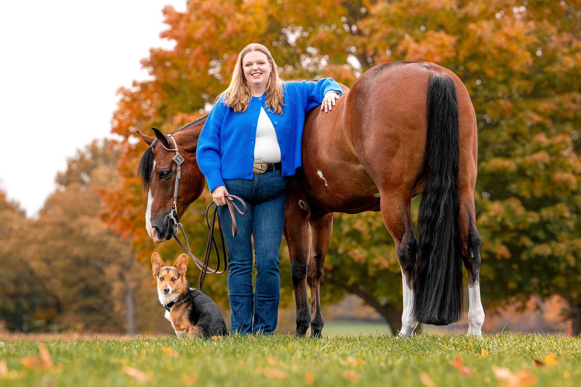 blonde equestrian wearing blue sweater standing beside her bay Paint Horse gelding and her corgi dog.